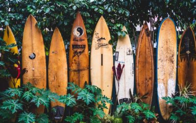 Can Surfboards Be Stored Outside?