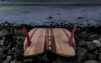 Fish Surfboards: Beginner Boards Or Not?
