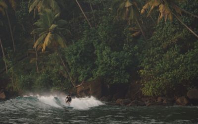 Complete Guide To Surfing Sri Lanka